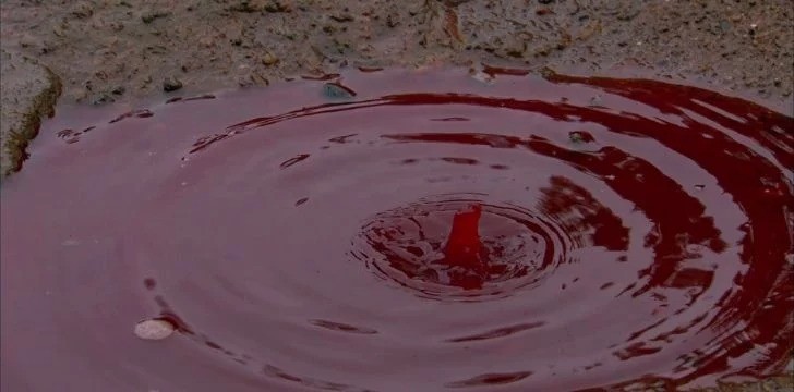 3. Кровь… или нет?