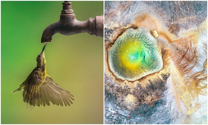 30 потрясающих снимков, которые показывают великолепие нашей природы