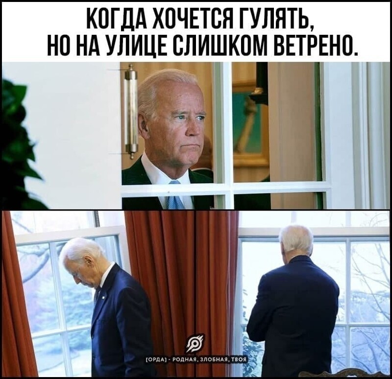 О политике и не только