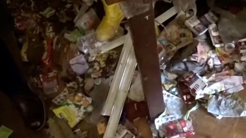 В Подмосковье в грязном доме полном котов обнаружили девочку-маугли