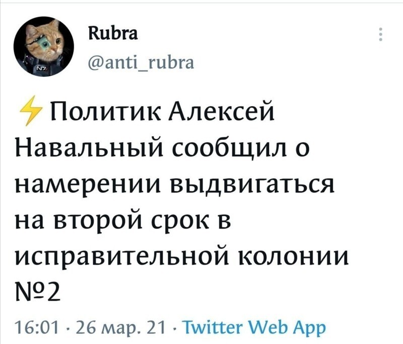 О политике и не только