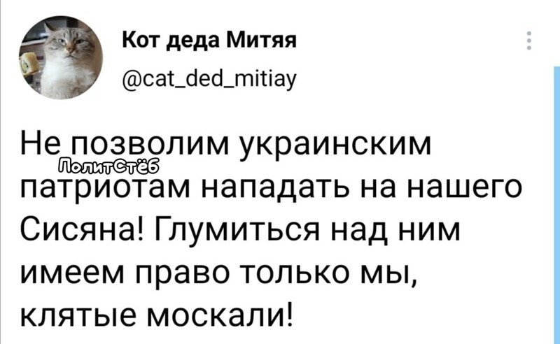 О политике и не только