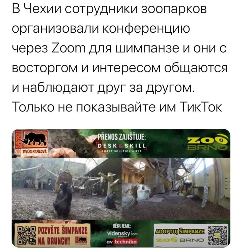 О политике и не только