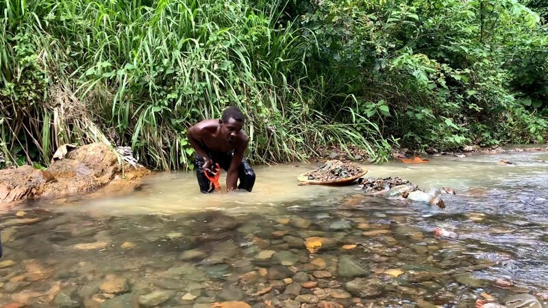 Как мы добываем Золотые самородки в диких джунглях Доминиканы! Золото прямо под ногами 2-ая часть