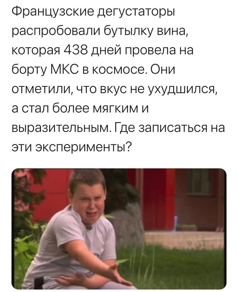 О политике и не только