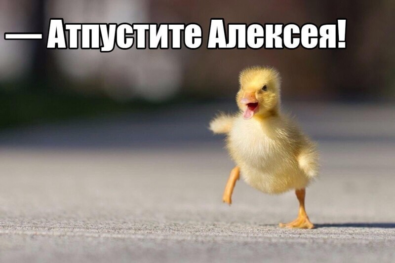 О политике и не только