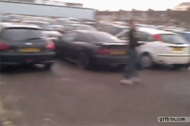 Гифки дня Гифки дня