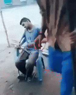 Гифки дня Гифки дня