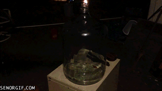 Гифки дня Гифки дня