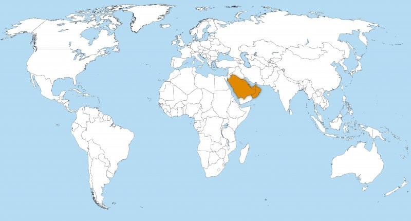 Ближневосточный респираторный синдром, вызванный коронавирусом (БВРС-КоВ): Саудовская Аравия, Катар, ОАЭ, Оман