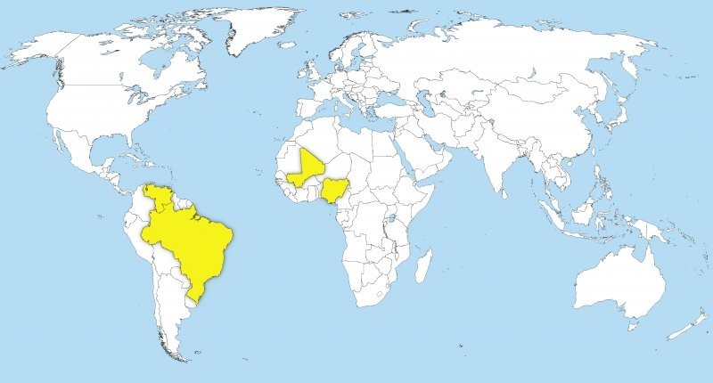 Жёлтая лихорадка: Венесуэла, Бразилия, Мали, Нигерия