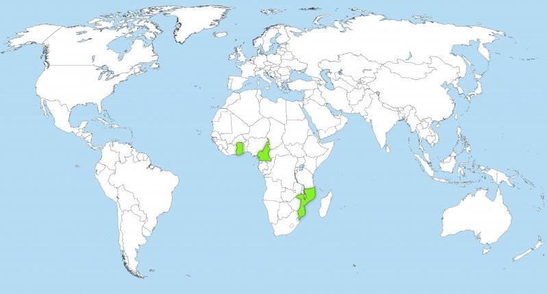 Циркулирующий полиовирус вакцинного происхождения типа 2: Гана, Камерун, Мозамбик