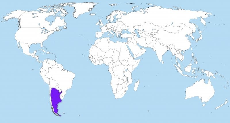 Хантавирусный легочный синдром: Аргентина