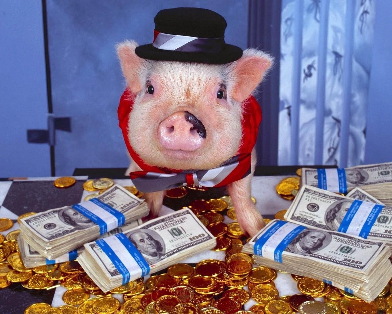 Богатая свинья
