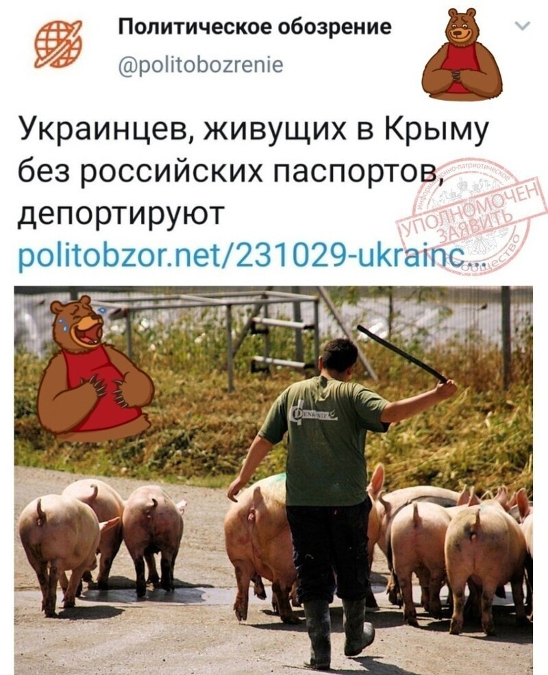О политике и не только