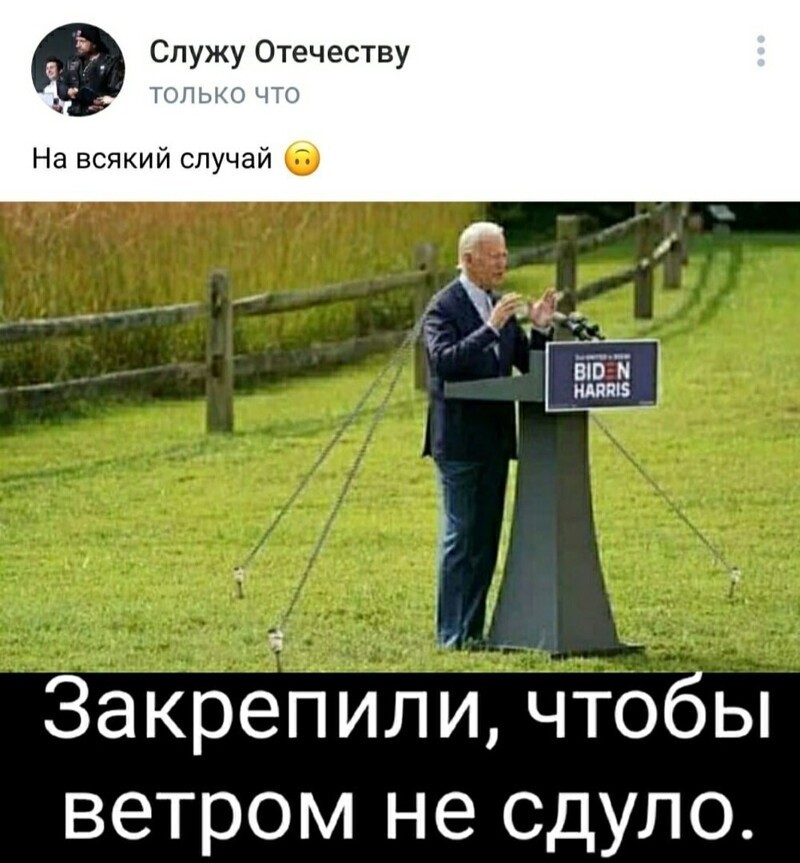 О политике и не только