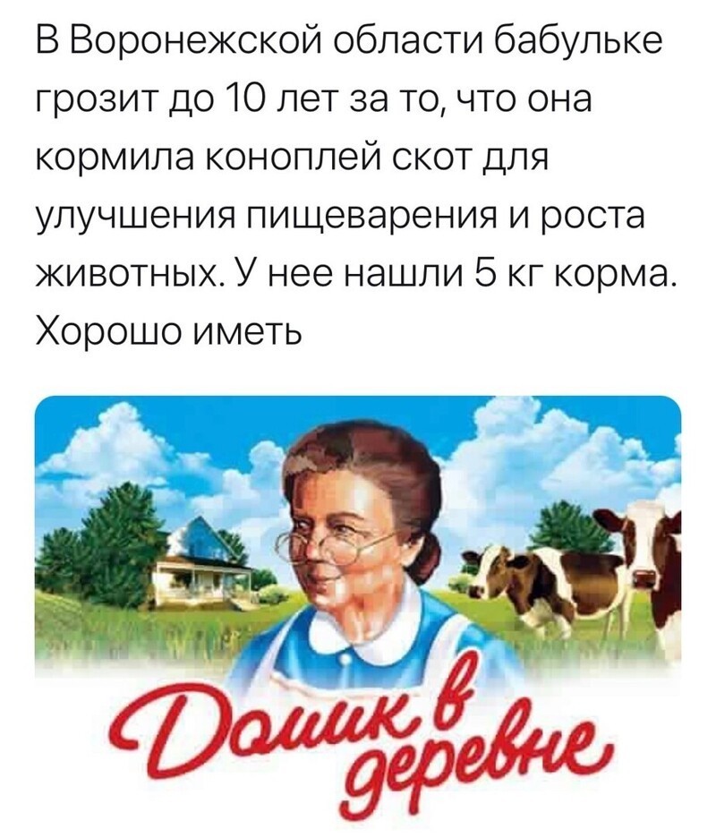 О политике и не только