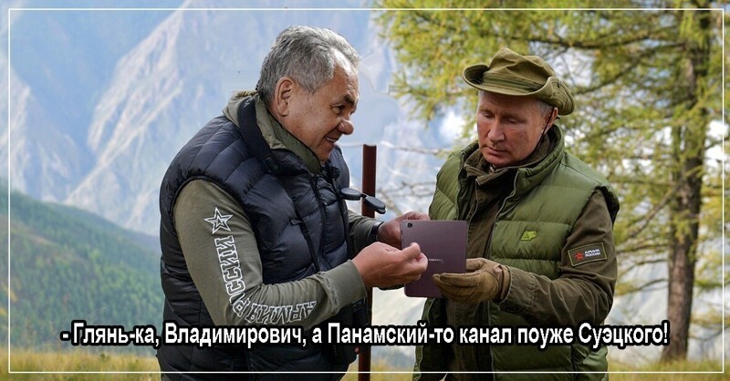 О политике и не только