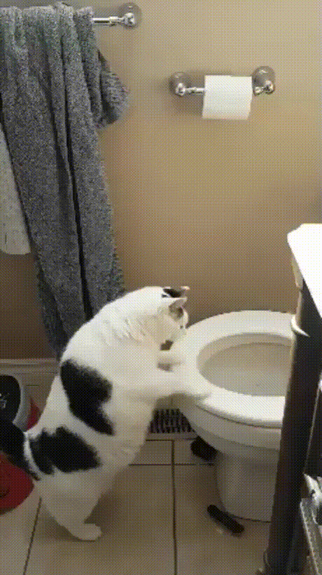 Просто гифки, всякие и разные