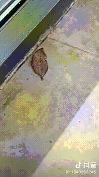 Просто гифки, всякие и разные