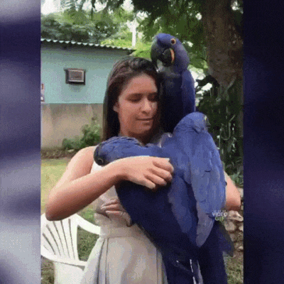 Просто гифки, всякие и разные