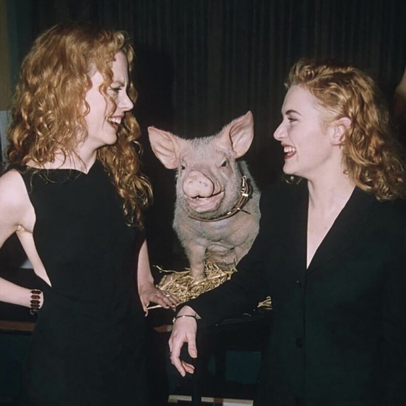 Николь Кидман, Кейт Уинслет и улыбчивый поросенок, 1995 год.