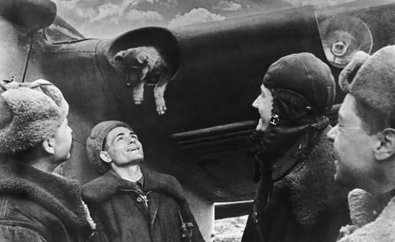 Экипаж пикирующего бомбардировщика Пе-2 202-й с щенком в воздухозаборнике крыла. 1-й Украинский фронт, 21 марта 1944 года.