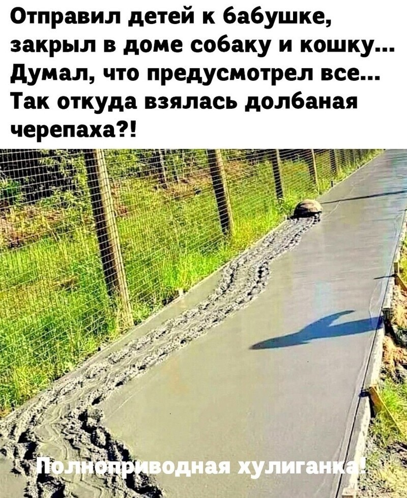 Веселые  картинки