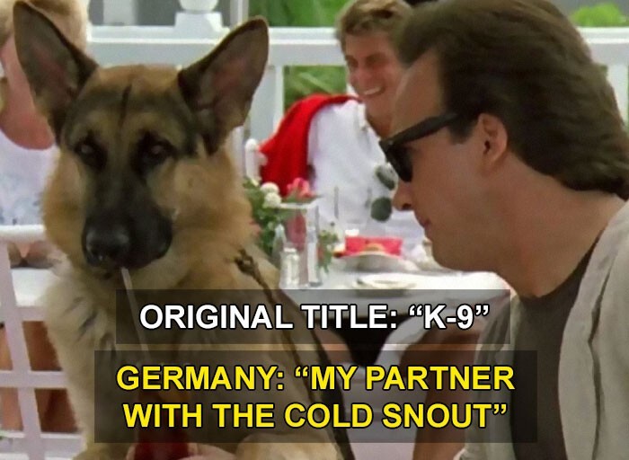 12. "Мой партнер с холодным носом" - Германия