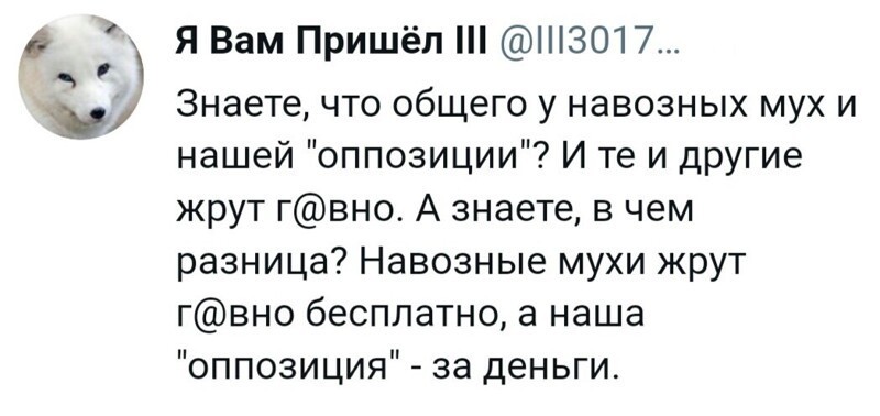 О политике и не только