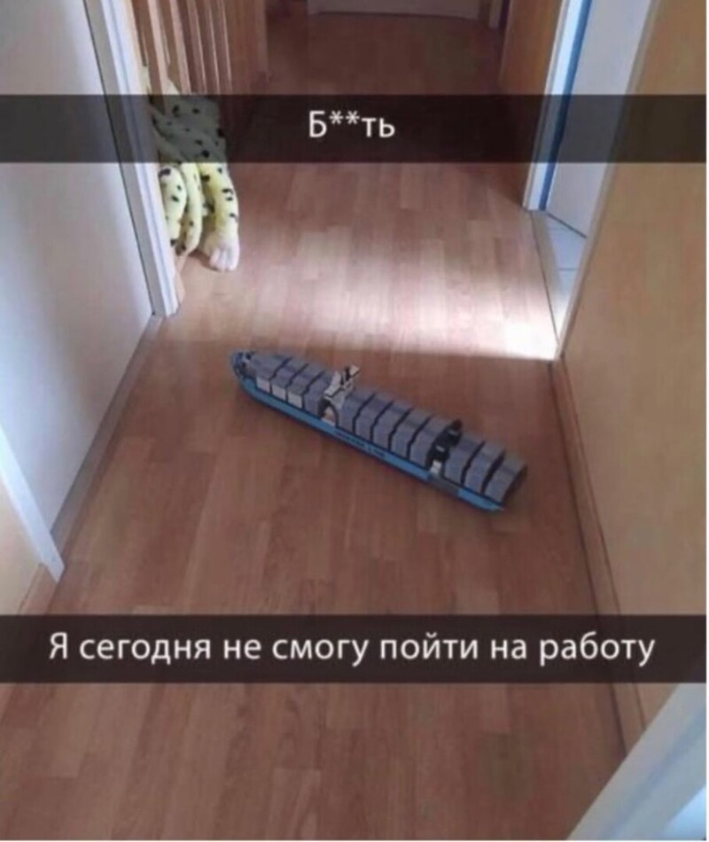 О политике и не только