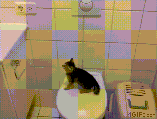 С добрым утром! С добрым утром!