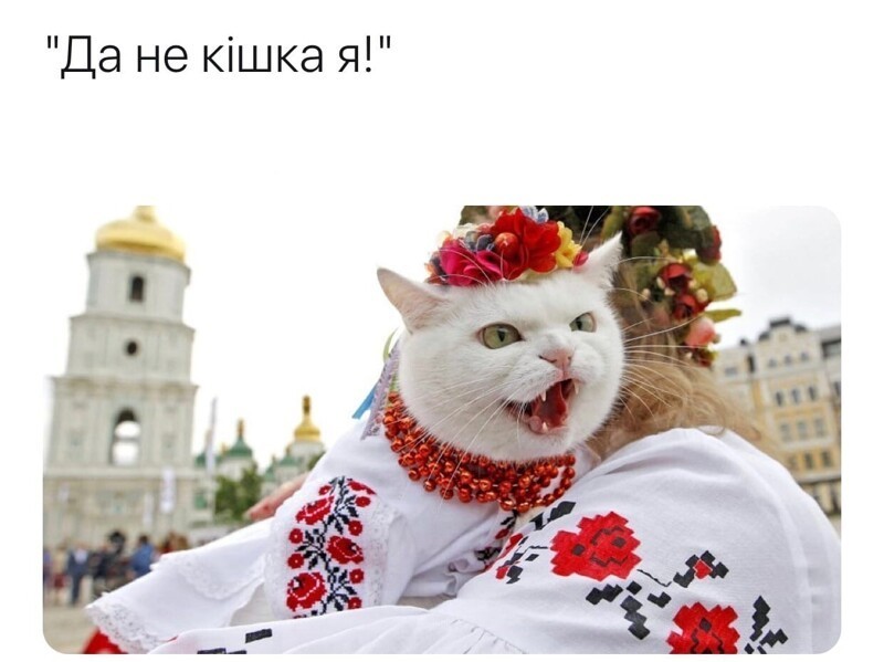 О политике и не только