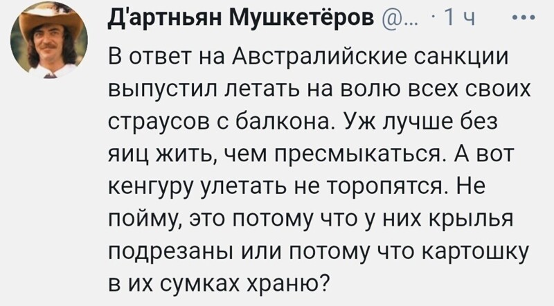 О политике и не только