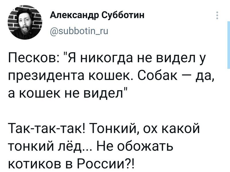 О политике и не только