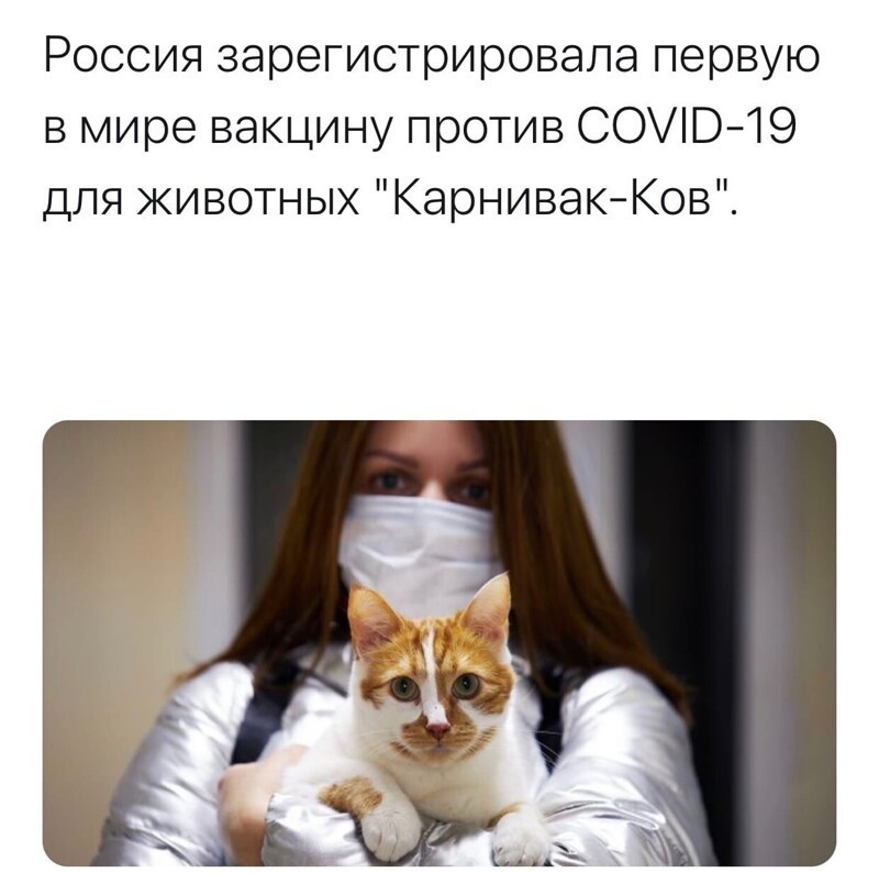 О политике и не только