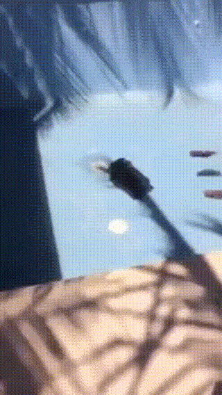 Просто гифки, всякие и разные