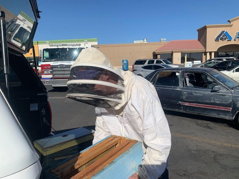 Пожарный спас автомобиль от роя пчёл на парковке супермаркета