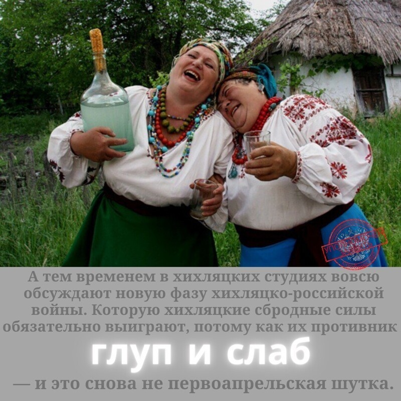 Веселуха картинки прикольные