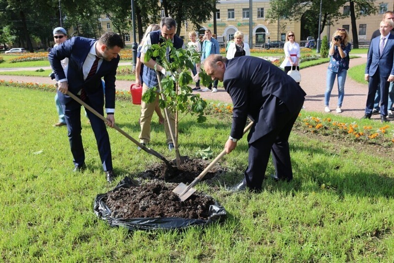 Преображение Красногвардейского района к его юбилею продолжится