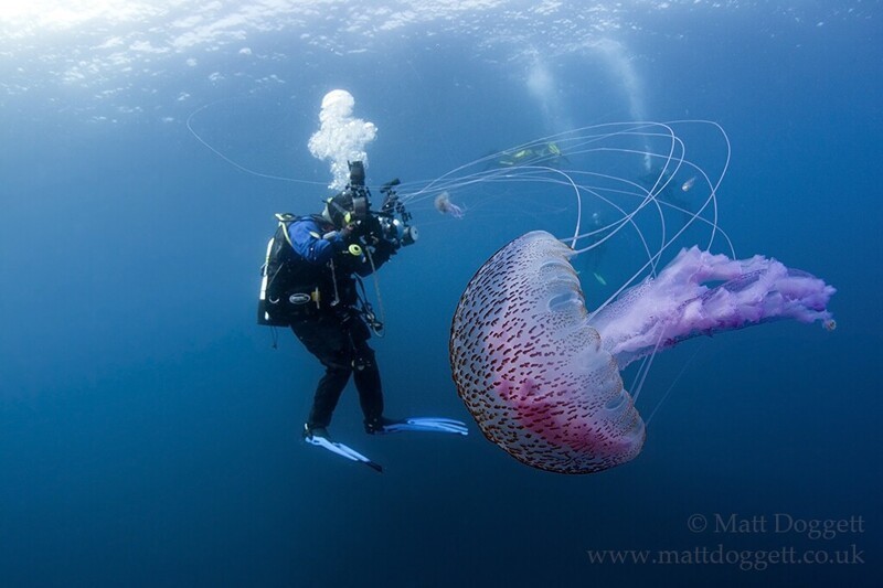Подводный фотограф Matt Doggett
