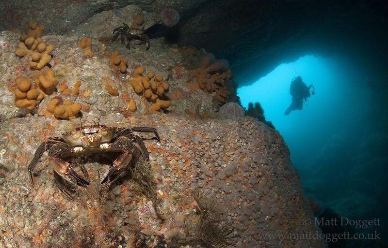 Подводный фотограф Matt Doggett