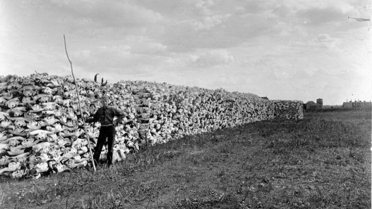 Как уничтожать старые фотографии