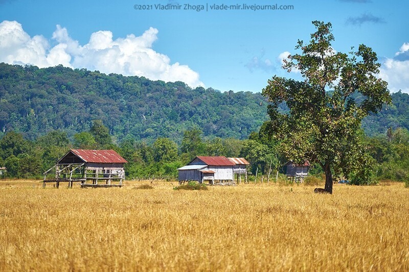 Деревня заброшенных домов и кладбищ (Камбоджа)