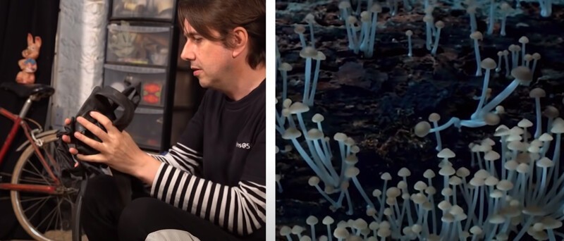 Как в документальных фильмах озвучивают рост грибов, шелест паутины и другие звуки живой природы