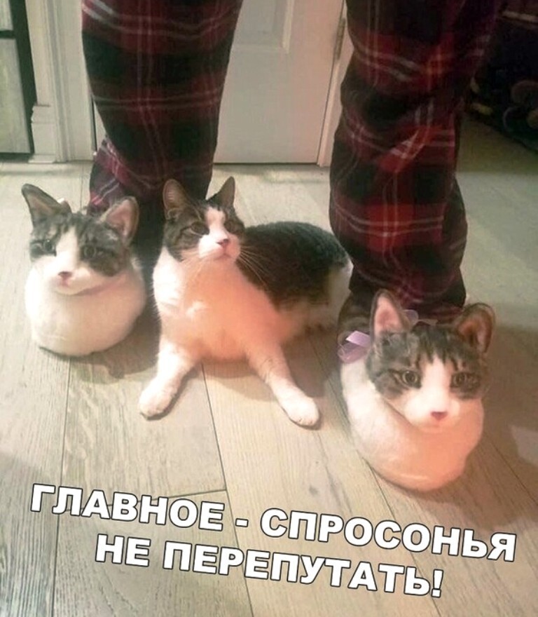 Веселые  картинки