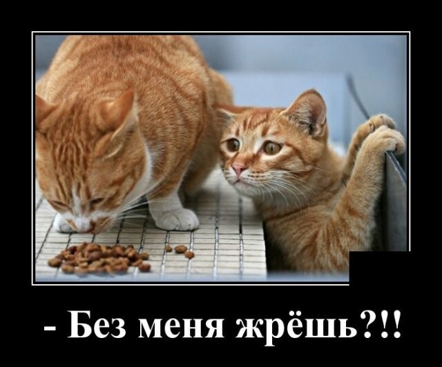 Вечерняя воскресная демотивация