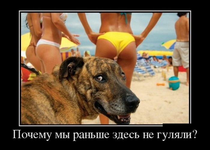 Вечерняя воскресная демотивация