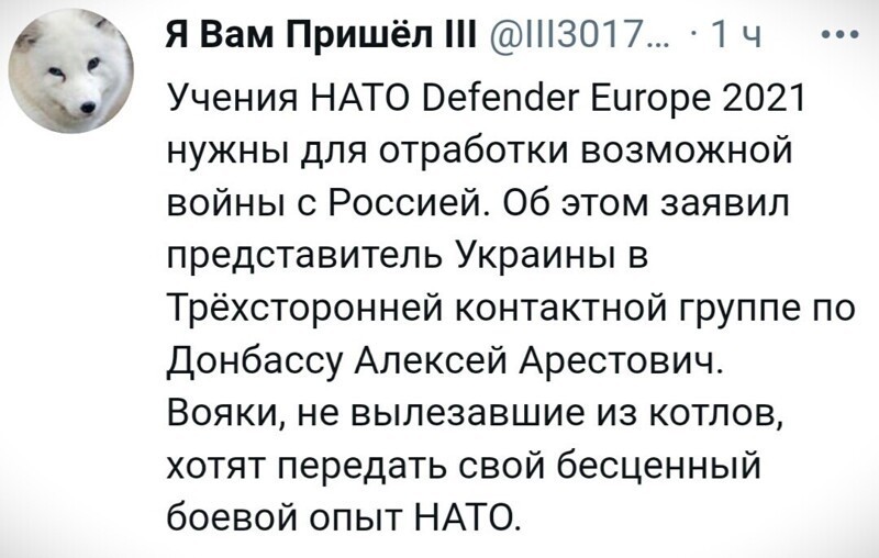 О политике и не только