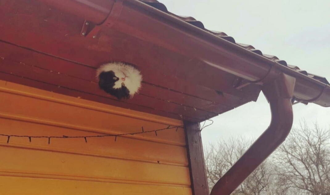 Фотоподборка от Димон за 04 апреля 2021